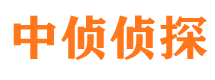 黎川侦探